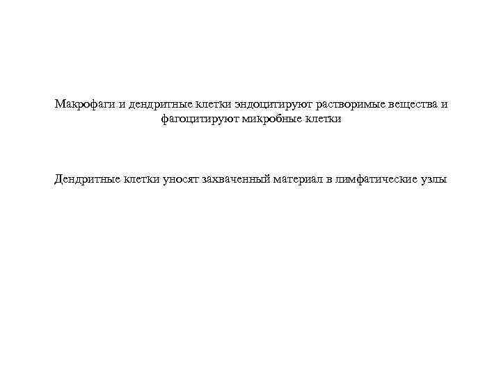 Макрофаги и дендритные клетки эндоцитируют растворимые вещества и фагоцитируют микробные клетки Дендритные клетки уносят