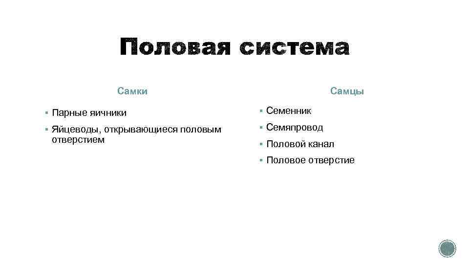 Самцы Самки § Парные яичники § Семенник § Яйцеводы, открывающиеся половым § Семяпровод отверстием