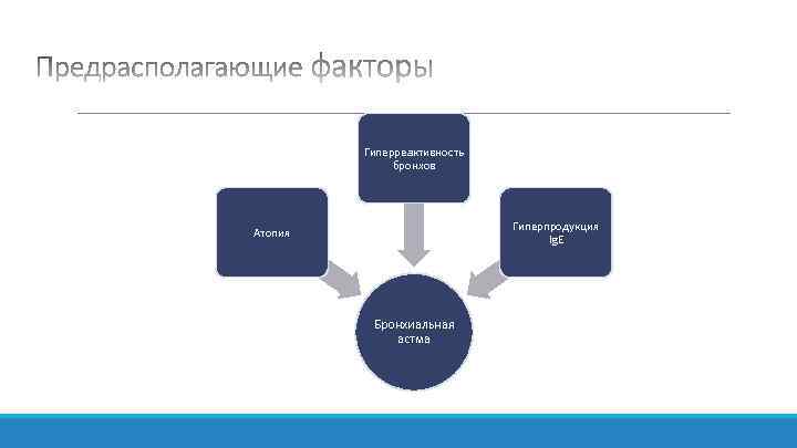 Гиперреактивность бронхов Гиперпродукция Ig. E Атопия Бронхиальная астма 