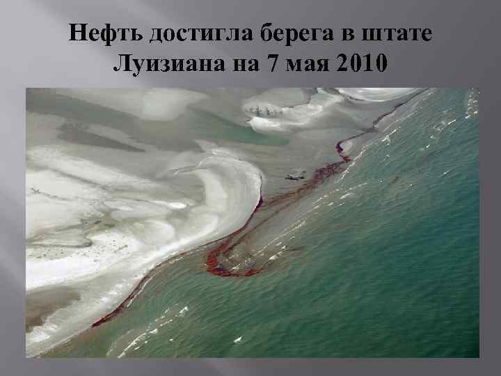 Нефть достигла берега в штате Луизиана на 7 мая 2010 