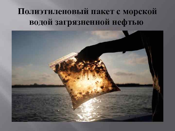 Полиэтиленовый пакет с морской водой загрязненной нефтью 