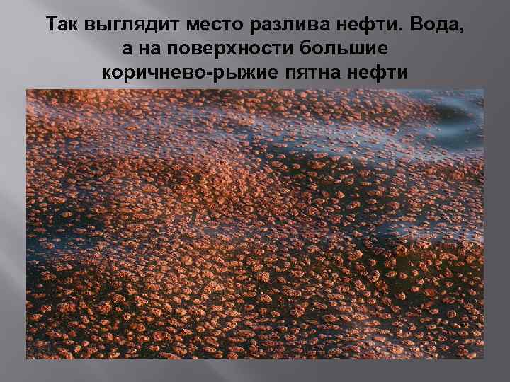 Так выглядит место разлива нефти. Вода, а на поверхности большие коричнево-рыжие пятна нефти 