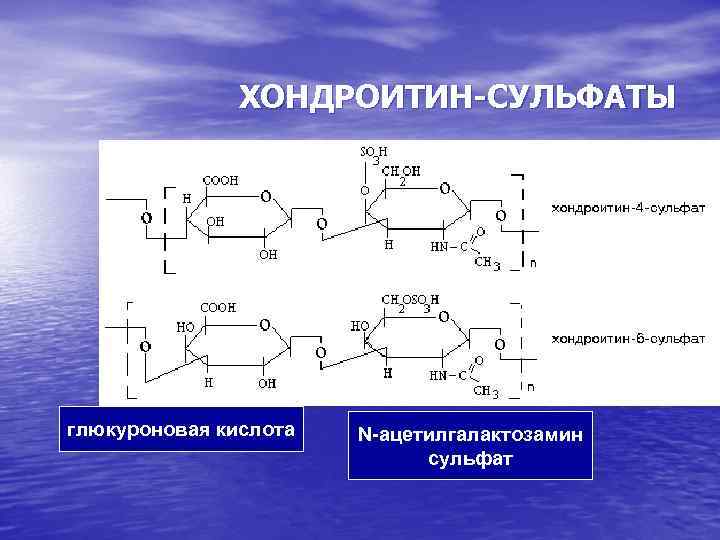 Хондроитина сульфат фото