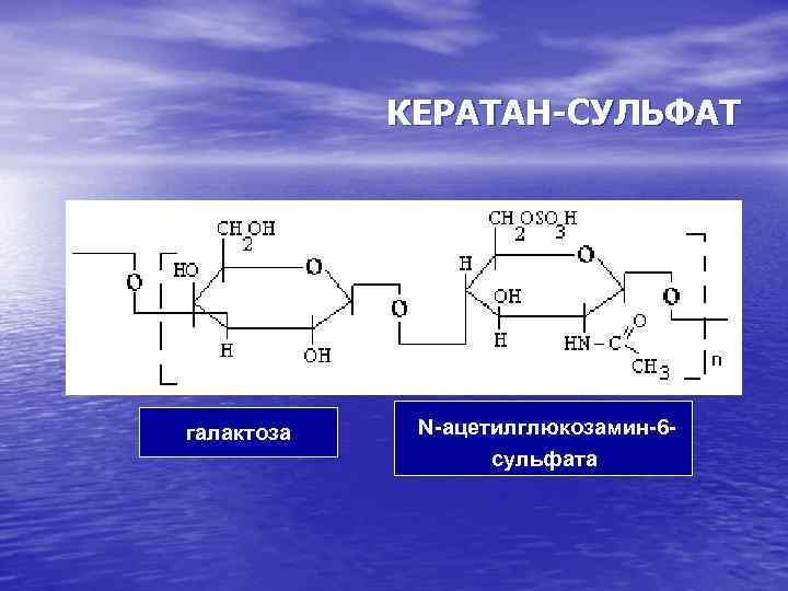 КЕРАТАН-СУЛЬФАТ галактоза n. N-ацетилглюкозамин-6 nсульфата 