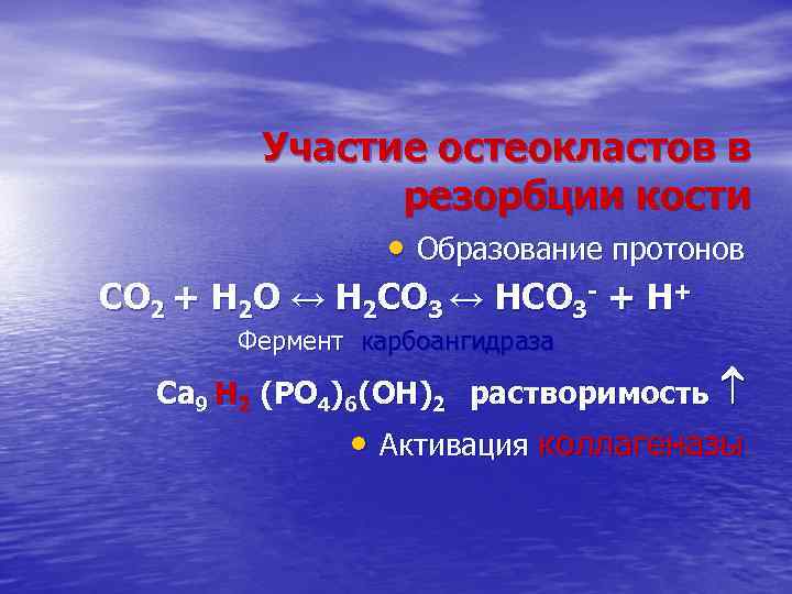 Участие остеокластов в резорбции кости • Образование протонов СО 2 + Н 2 О