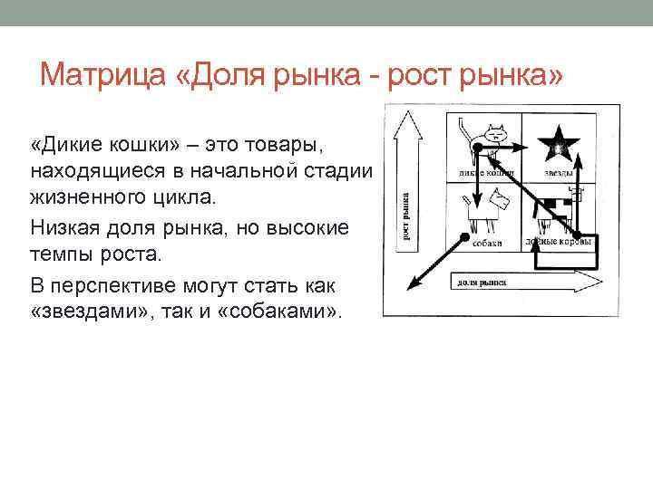 Матрица «Доля рынка - рост рынка» «Дикие кошки» – это товары, находящиеся в начальной