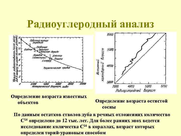 Радиоуглеродный анализ Определение возраста известных объектов Определение возраста остистой сосны По данным остатков стволов