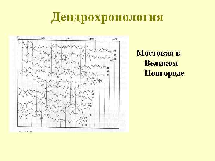 Дендрохронология Мостовая в Великом Новгороде 