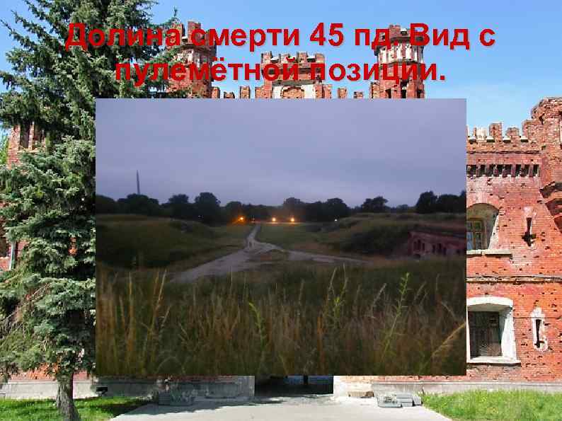 Долина смерти 45 пд. Вид с пулемётной позиции. 