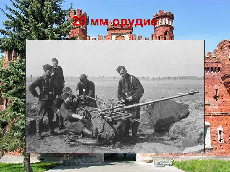 20 мм орудие 