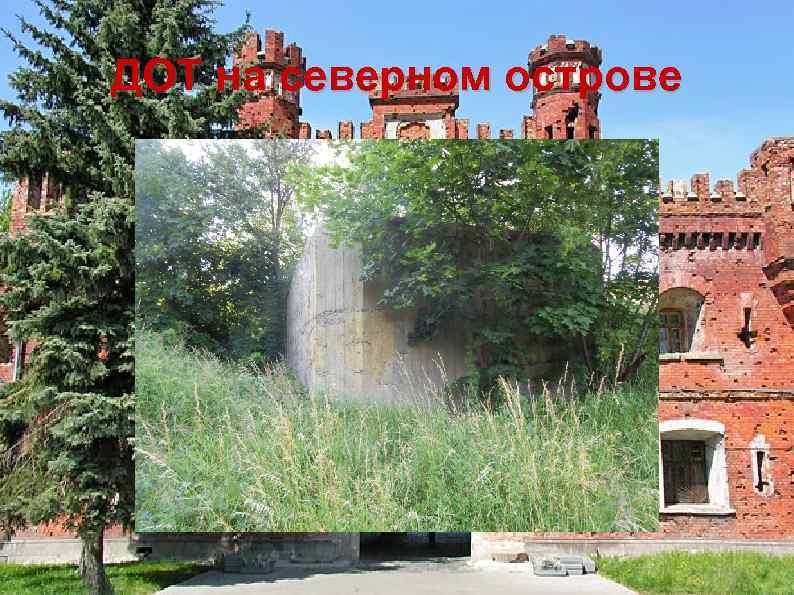 ДОТ на северном острове 