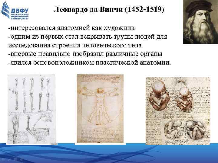 Леонардо да Винчи (1452 -1519) -интересовался анатомией как художник одним из первых стал вскрывать