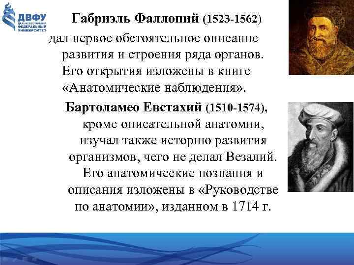 Габриэль Фаллопий (1523 -1562) дал первое обстоятельное описание развития и строения ряда органов. Его