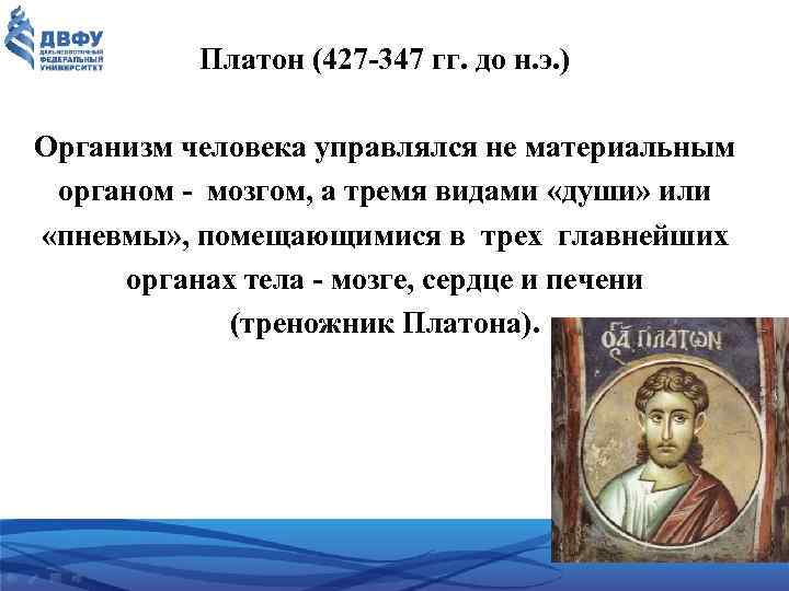 Платон (427 -347 гг. до н. э. ) Организм человека управлялся не материальным органом