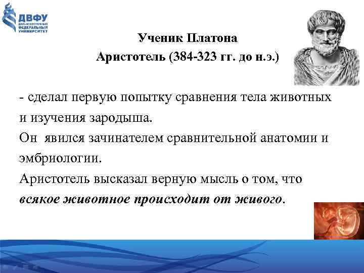 Ученик Платона Аристотель (384 -323 гг. до н. э. ) сделал первую попытку сравнения