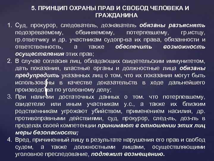 5. ПРИНЦИП ОХРАНЫ ПРАВ И СВОБОД ЧЕЛОВЕКА И ГРАЖДАНИНА 1. Суд, прокурор, следователь, дознаватель