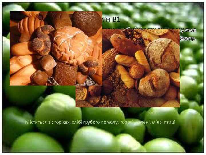 Вітамін B 1 - тіамін – бере участь у обміні речовин, регулює циркуляцію крові
