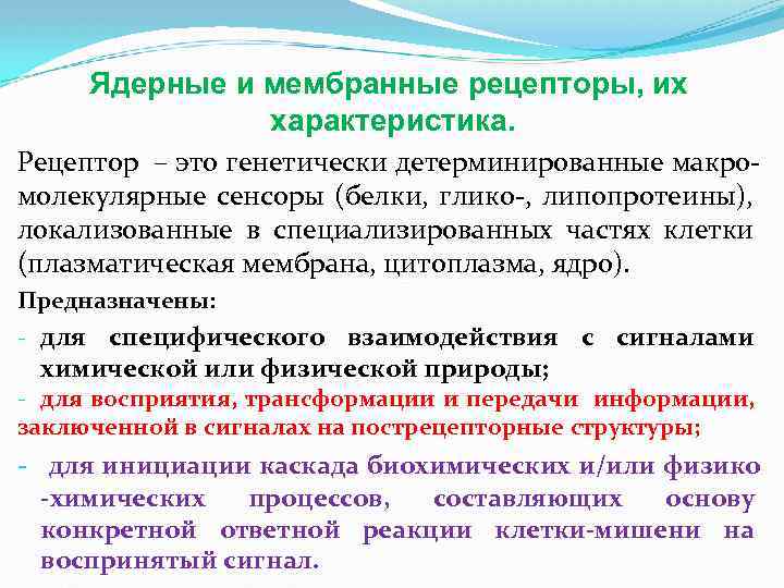 Ядерные и мембранные рецепторы, их характеристика. Рецептор – это генетически детерминированные макромолекулярные сенсоры (белки,