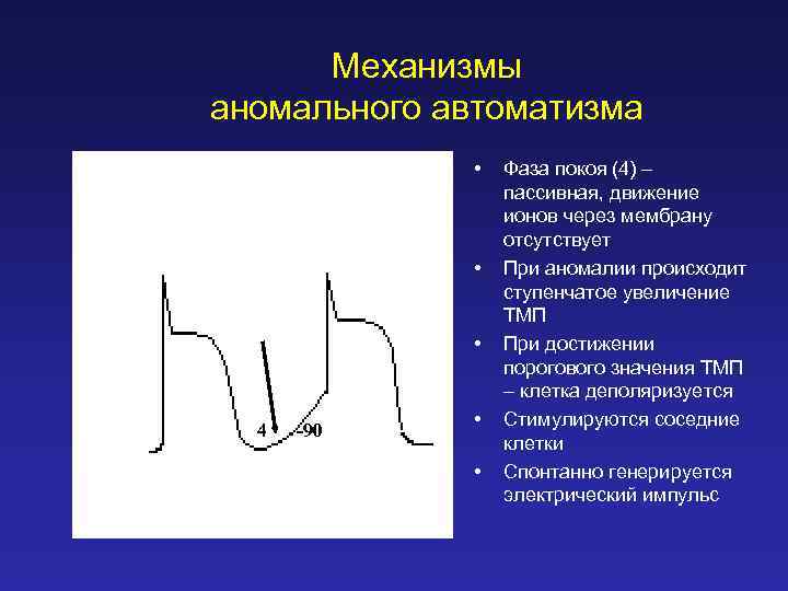 Механизмы аномального автоматизма • • • 4 -90 • • Фаза покоя (4) –