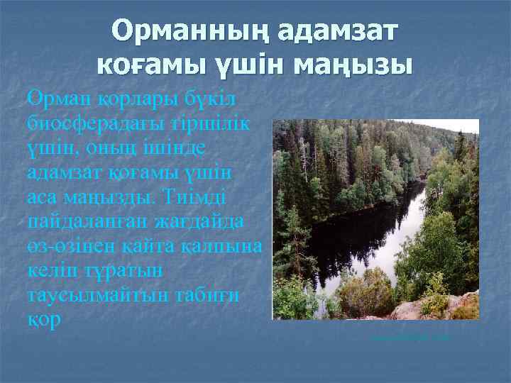 Орманның адамзат коғамы үшін маңызы Орман қорлары бүкіл биосферадағы тіршілік үшін, оның ішінде адамзат