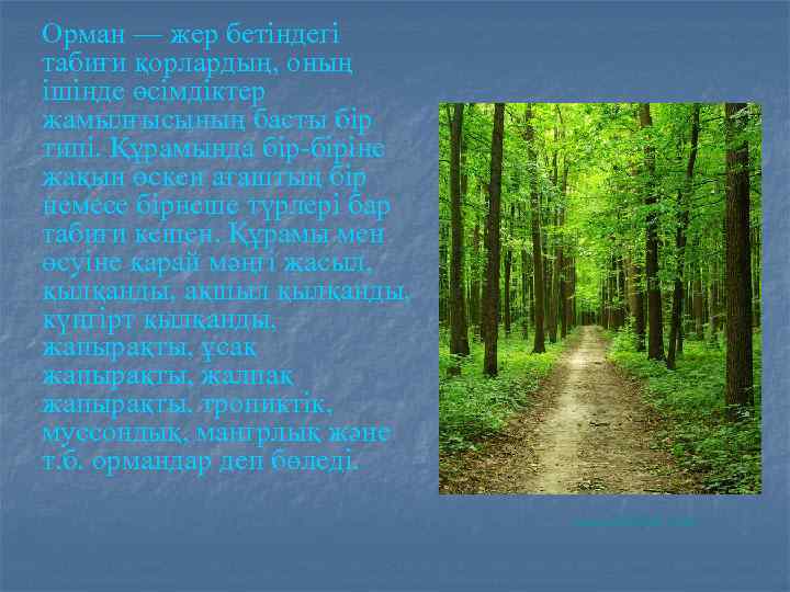 Орман — жер бетіндегі табиғи қорлардың, оның ішінде өсімдіктер жамылғысының басты бір типі. Құрамында