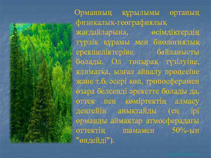 Орманның құрылымы ортаның физикалық-географиялық жағдайларына, өсімдіктердің түрлік құрамы мен биологиялық ерекшеліктеріне байланысты болады. Ол