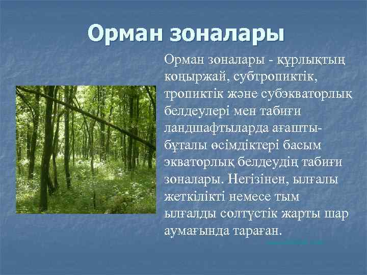 Орман зоналары - құрлықтың коңыржай, субтропиктік, тропиктік және субэкваторлық белдеулері мен табиғи ландшафтыларда ағаштыбұталы