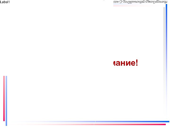 Благодарю за внимание! 