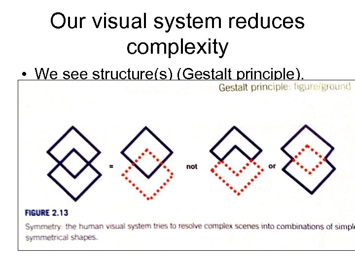 Our visual system reduces complexity • We see structure(s) (Gestalt principle). – Figure/ground. –