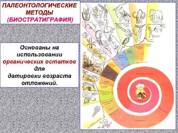 ПАЛЕОНТОЛОГИЧЕСКИЕ МЕТОДЫ (БИОСТРАТИГРАФИЯ) БИОСТРАТИГРАФИЯ Основаны на использовании органических остатков для датировки возраста отложений. 