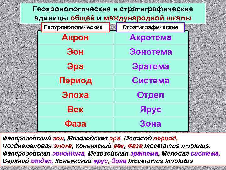 Геохронологические и стратиграфические единицы общей и международной шкалы Геохронологические Стратиграфические Акрон Акротема Эонотема Эратема