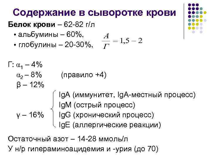 Содержание в сыворотке крови Белок крови – 62 -82 г/л • альбумины – 60%,