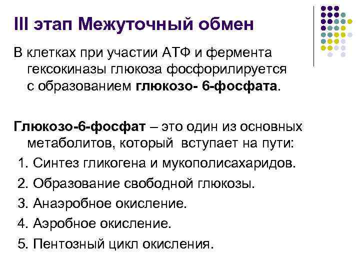 III этап Межуточный обмен В клетках при участии АТФ и фермента гексокиназы глюкоза фосфорилируется