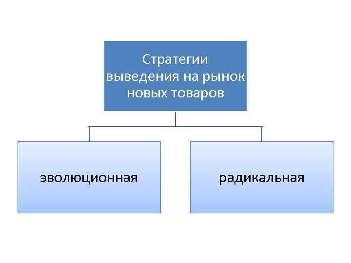 Стратегии выведения на рынок новых товаров эволюционная радикальная 