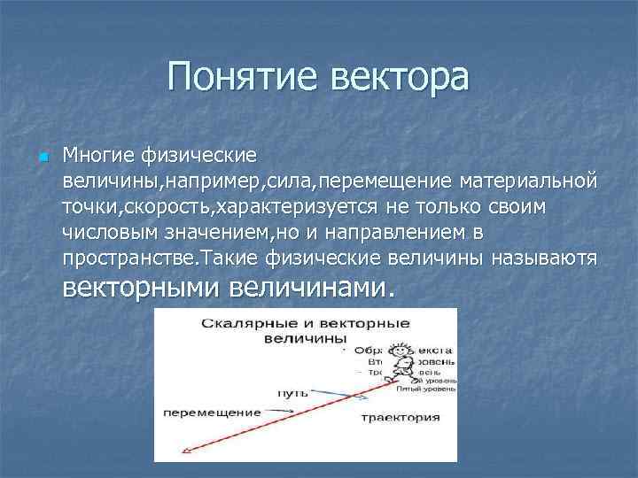 Понятие вектора n Многие физические величины, например, сила, перемещение материальной точки, скорость, характеризуется не