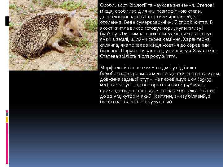 Особливості біології та наукове значення: Степові місця, особливо ділянки псамофітною степи, деградовані пасовища, схили