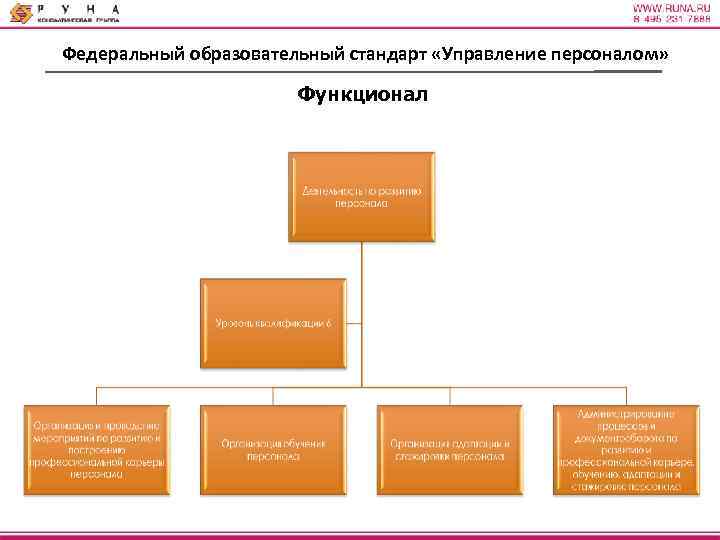 Федеральный образовательный стандарт «Управление персоналом» Функционал 