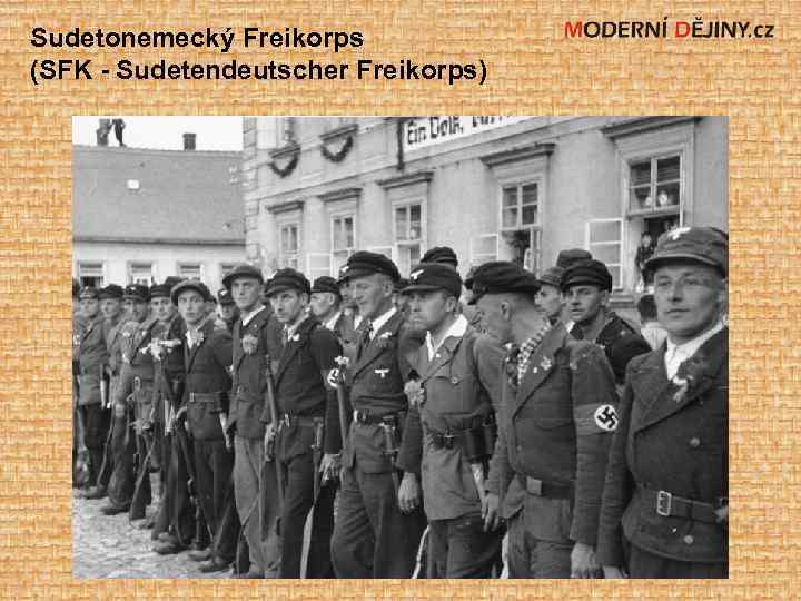 Sudetonemecký Freikorps (SFK - Sudetendeutscher Freikorps) 