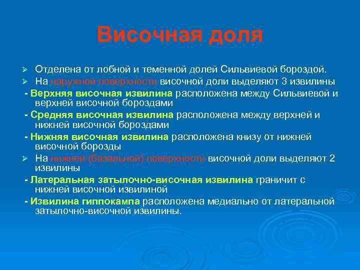 Височная доля Отделена от лобной и теменной долей Сильвиевой бороздой. На наружной поверхности височной