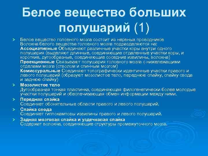 Белое вещество больших полушарий (1) Ø Ø Ø Белое вещество головного мозга состоит из