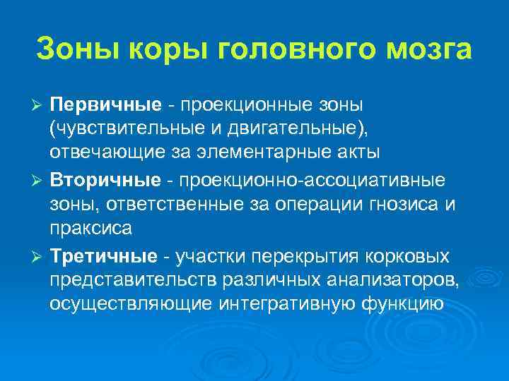 Зоны коры головного мозга Первичные - проекционные зоны (чувствительные и двигательные), отвечающие за элементарные