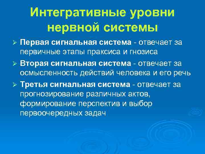 Интегративные уровни нервной системы Первая сигнальная система - отвечает за первичные этапы праксиса и