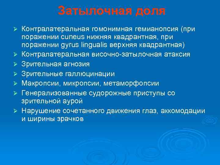 Затылочная доля Ø Ø Ø Ø Контралатеральная гомонимная гемианопсия (при поражении cuneus нижняя квадрантная,