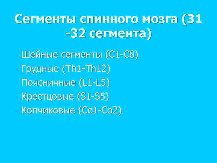 Сегменты спинного мозга (31 -32 сегмента) n n n Шейные сегменты (C 1 -C