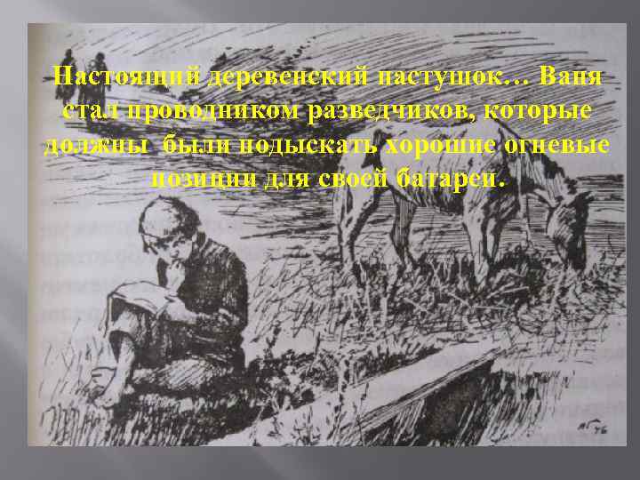 Настоящий деревенский пастушок… Ваня стал проводником разведчиков, которые должны были подыскать хорошие огневые позиции