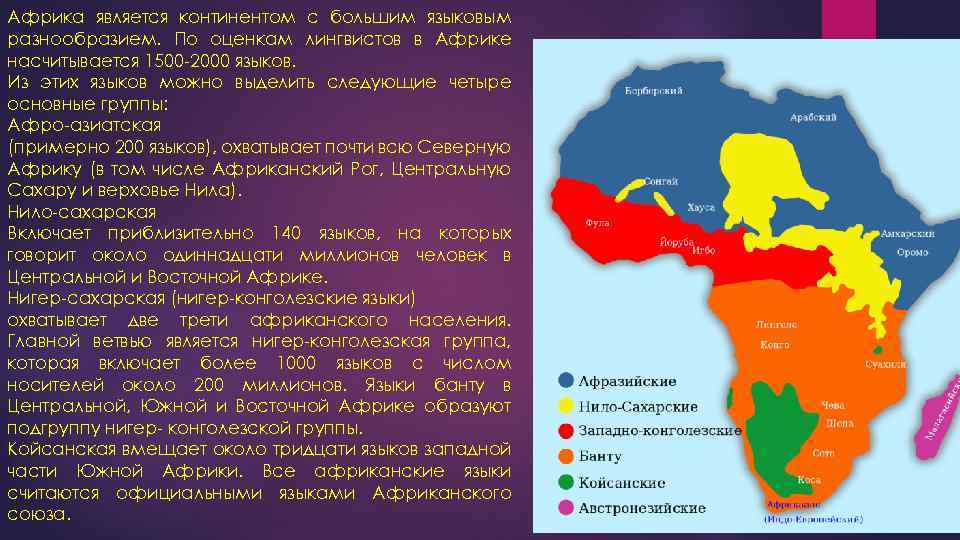 Африка является континентом с большим языковым разнообразием. По оценкам лингвистов в Африке насчитывается 1500
