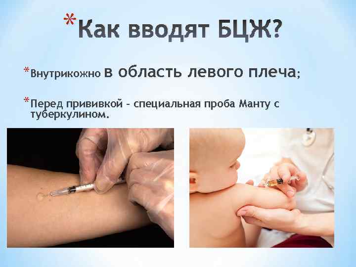* Как вводят БЦЖ? *Внутрикожно в область левого плеча; *Перед прививкой – специальная проба