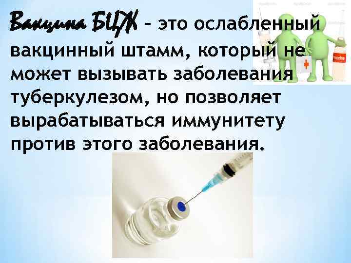 Вакцина БЦЖ – это ослабленный вакцинный штамм, который не может вызывать заболевания туберкулезом, но