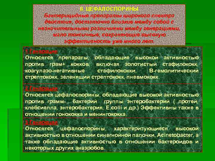 II. ЦЕФАЛОСПОРИНЫ Бактерицидные препараты широкого спектра действия, достаточно близкие между собой с незначительными различиями