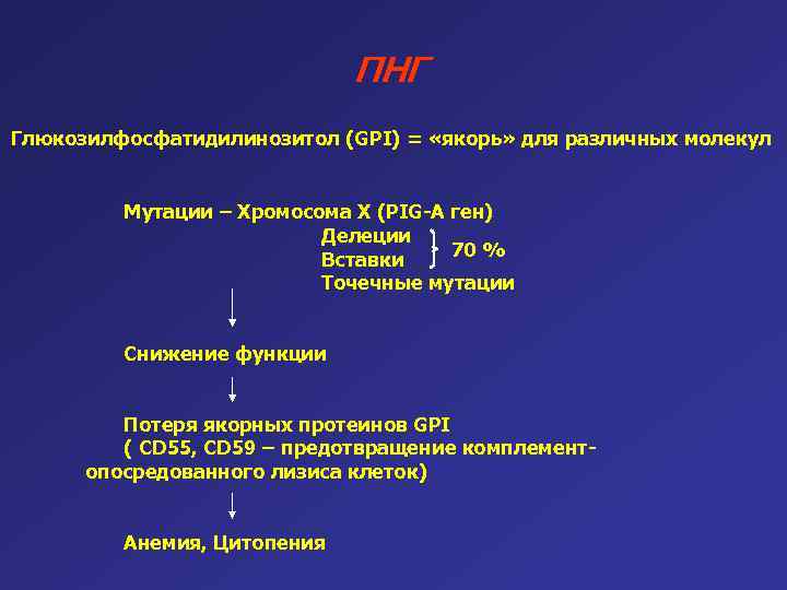 ПНГ Глюкозилфосфатидилинозитол (GPI) = «якорь» для различных молекул Мутации – Хромосома X (PIG-A ген)